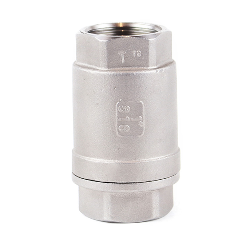 Vertikales Scheckventil aus rostfreiem Stahl.