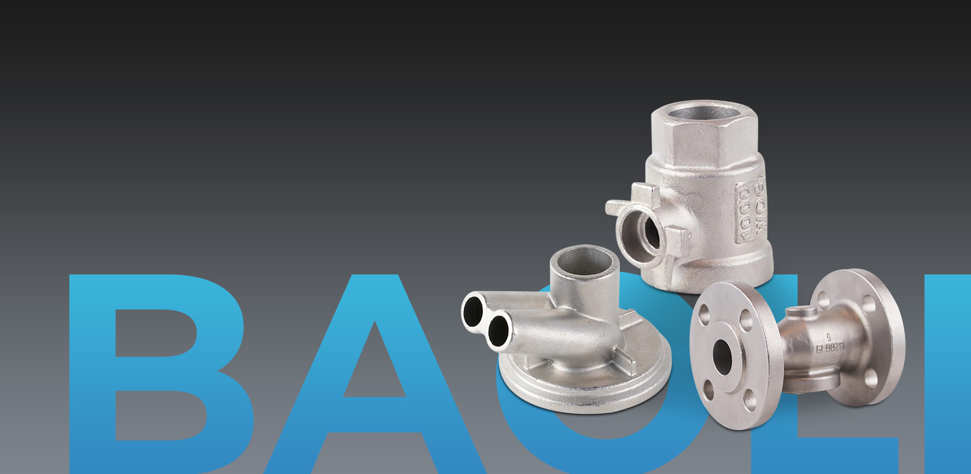 Qingtian Baoli Casting Co., Ltd.